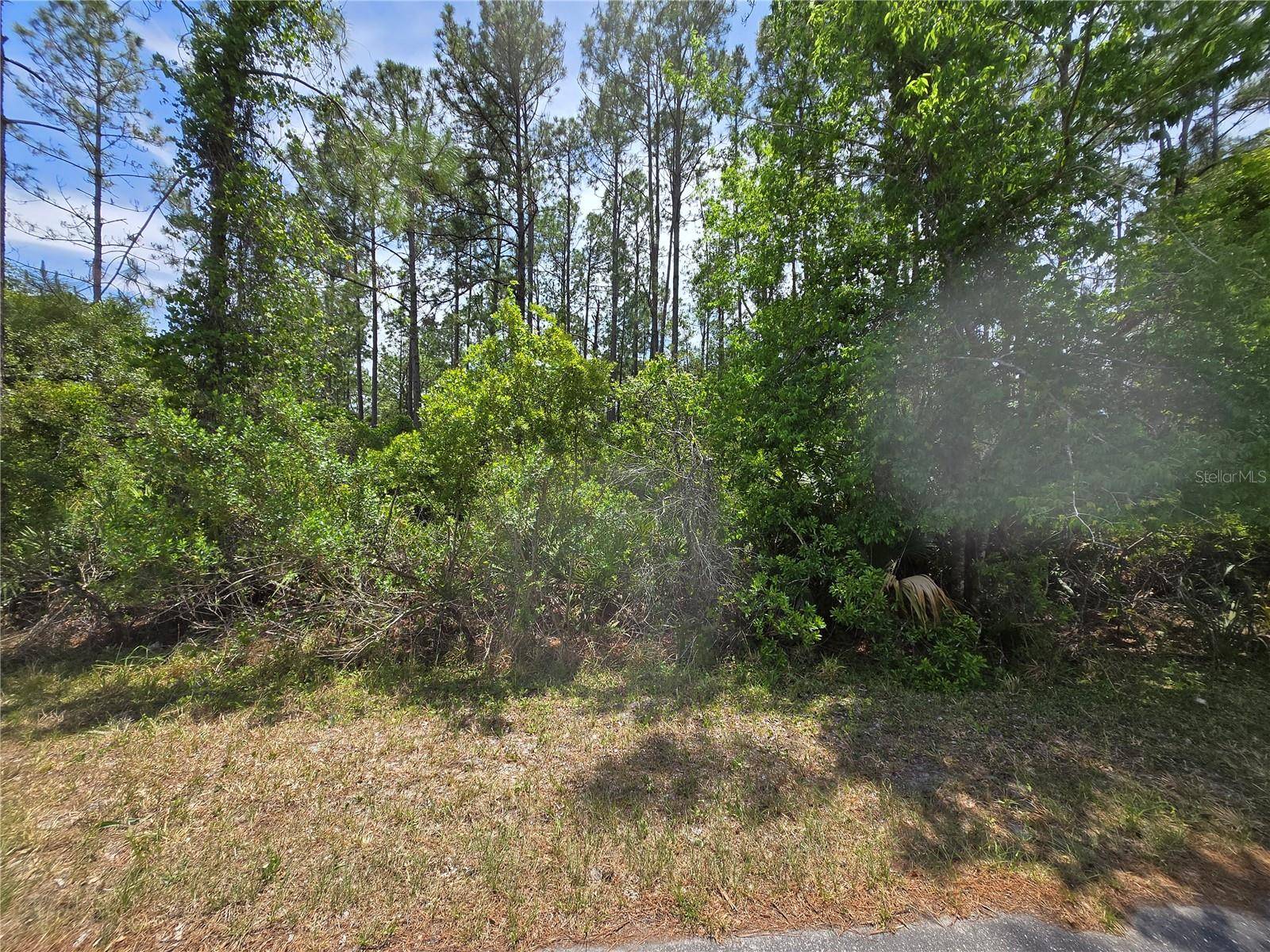 00 W BLUEBELL AVE, Eustis, FL 32736