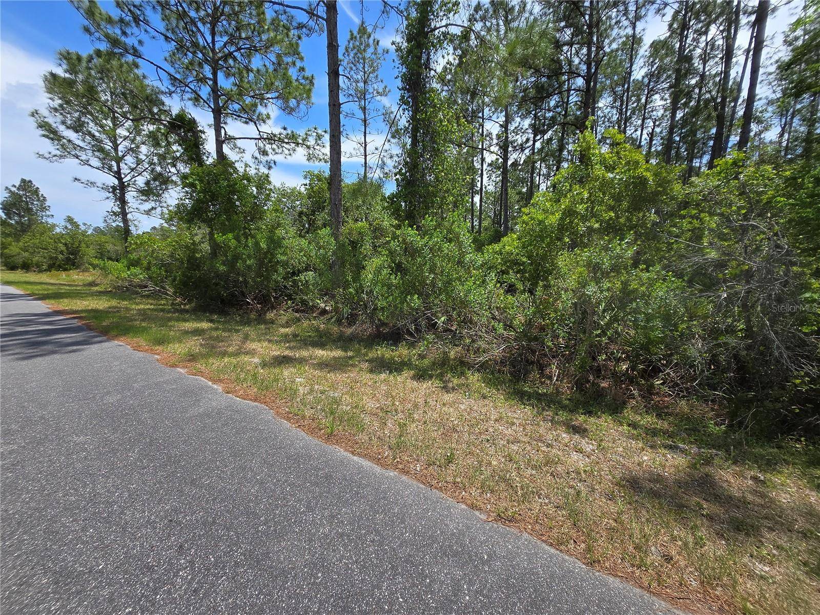 00 W BLUEBELL AVE, Eustis, FL 32736