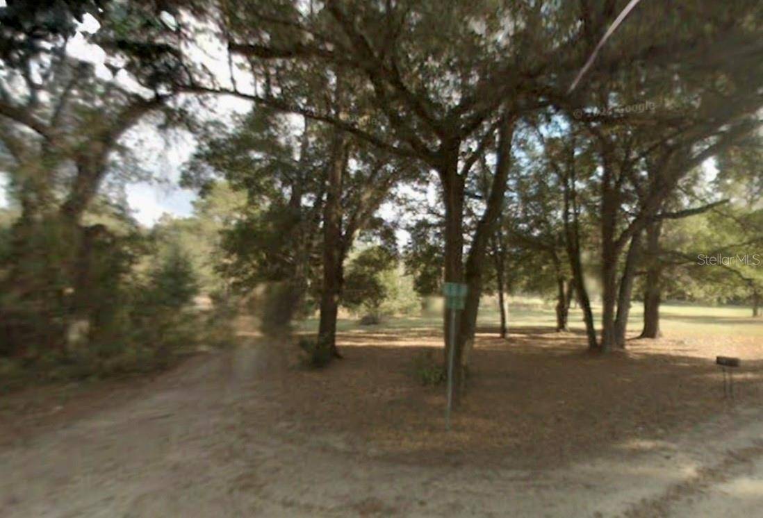 LOT 2 SE 141ST LN, Summerfield, FL 34491