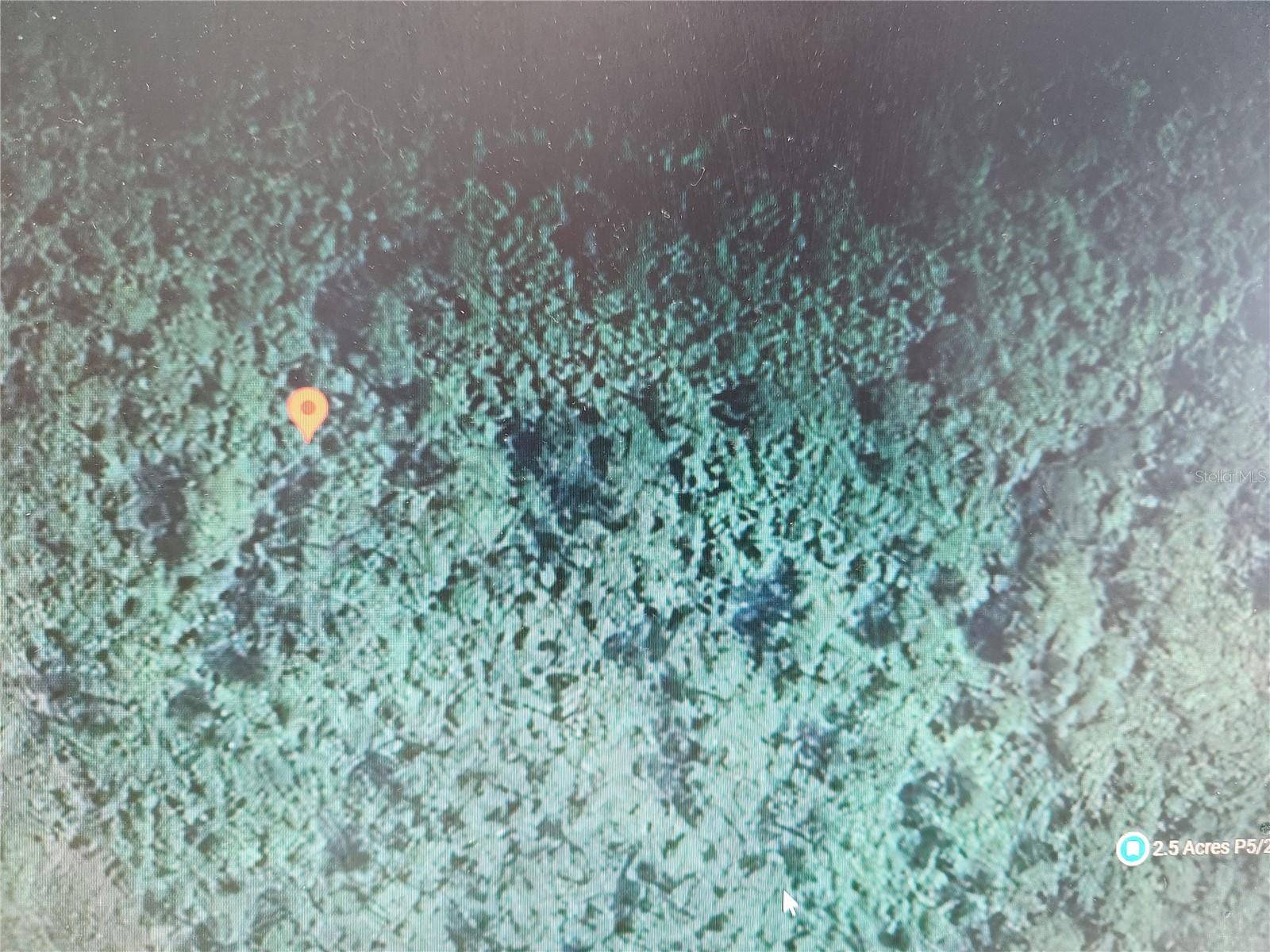 HOLOPAW GROVES RD, St Cloud, FL 34771