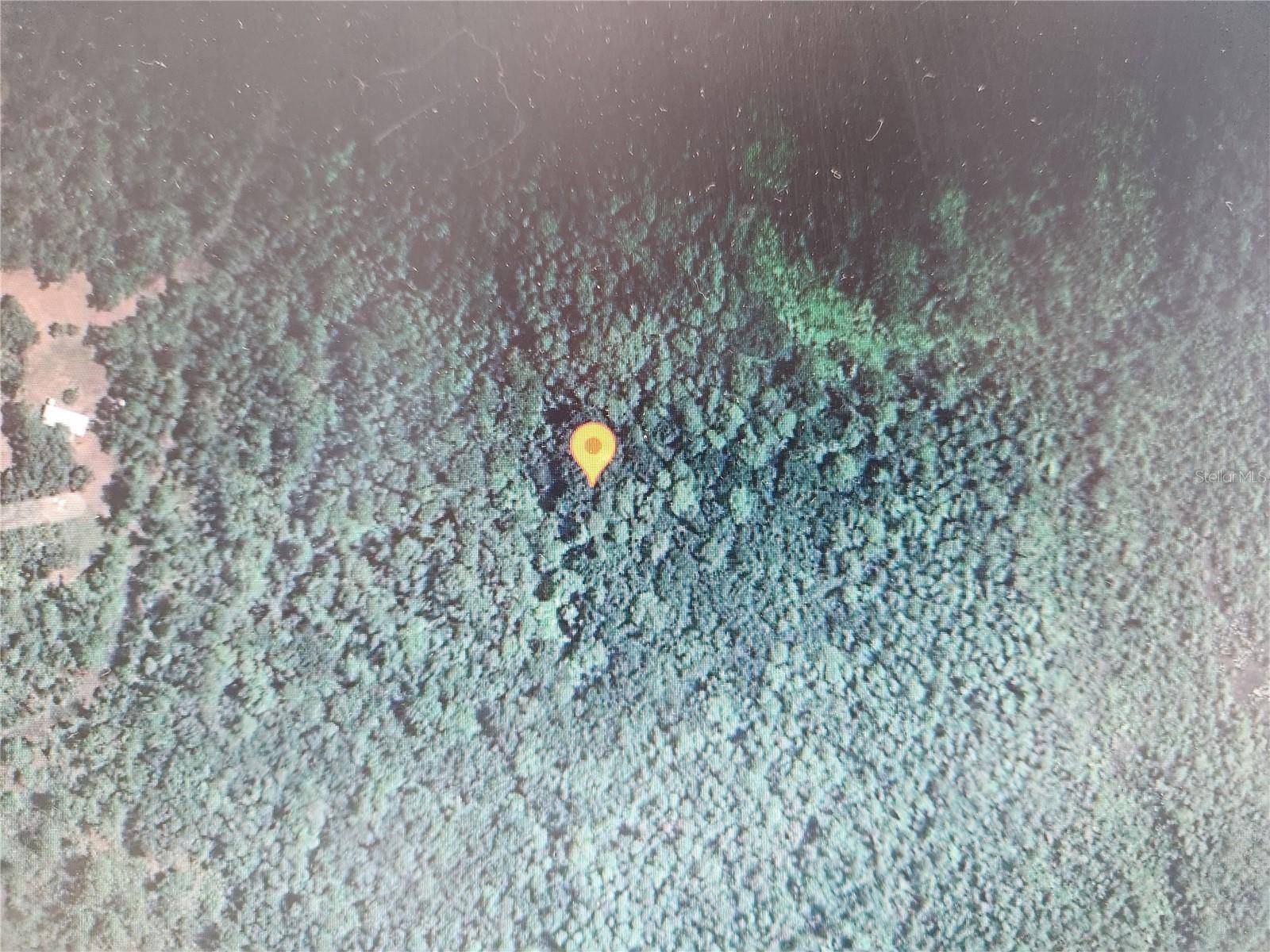 HOLOPAW GROVES RD, St Cloud, FL 34771