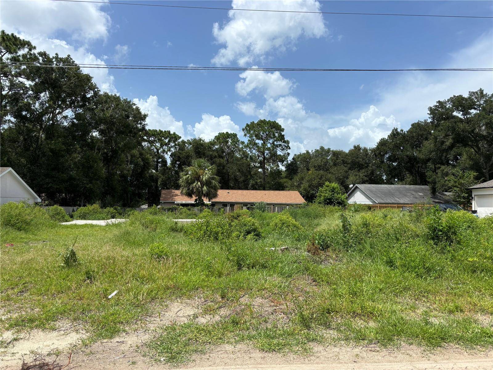 25815 EXMOOR DR, Sorrento, FL 32776