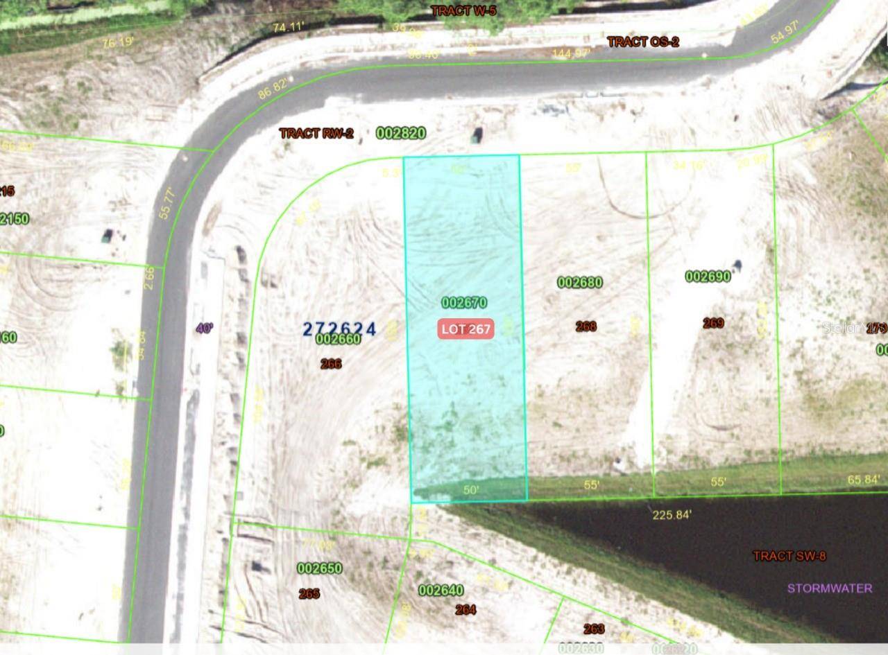 1241 BUTTERFLY ORCHID RD, Davenport, FL 33837