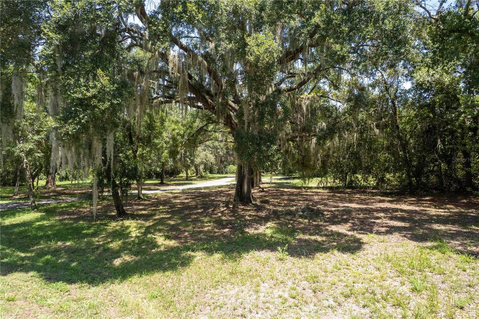 2951 SEMINOLE RD, St Cloud, FL 34772