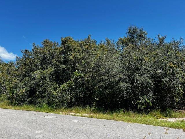 1229 BALTIC DR, Poinciana, FL 34759