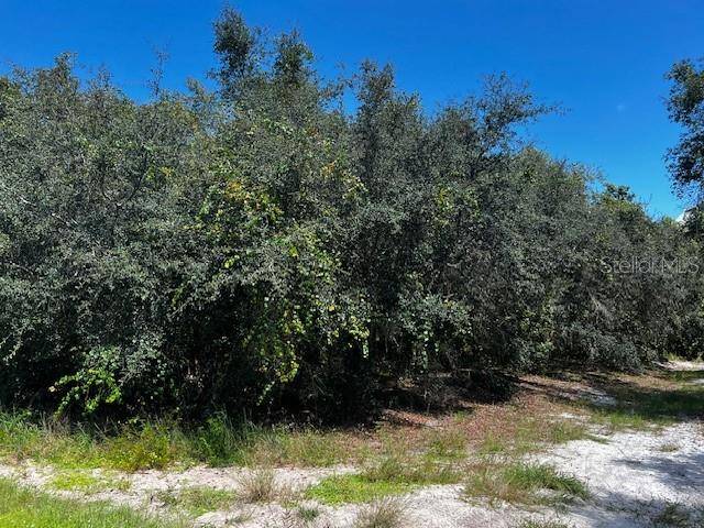 1229 BALTIC DR, Poinciana, FL 34759