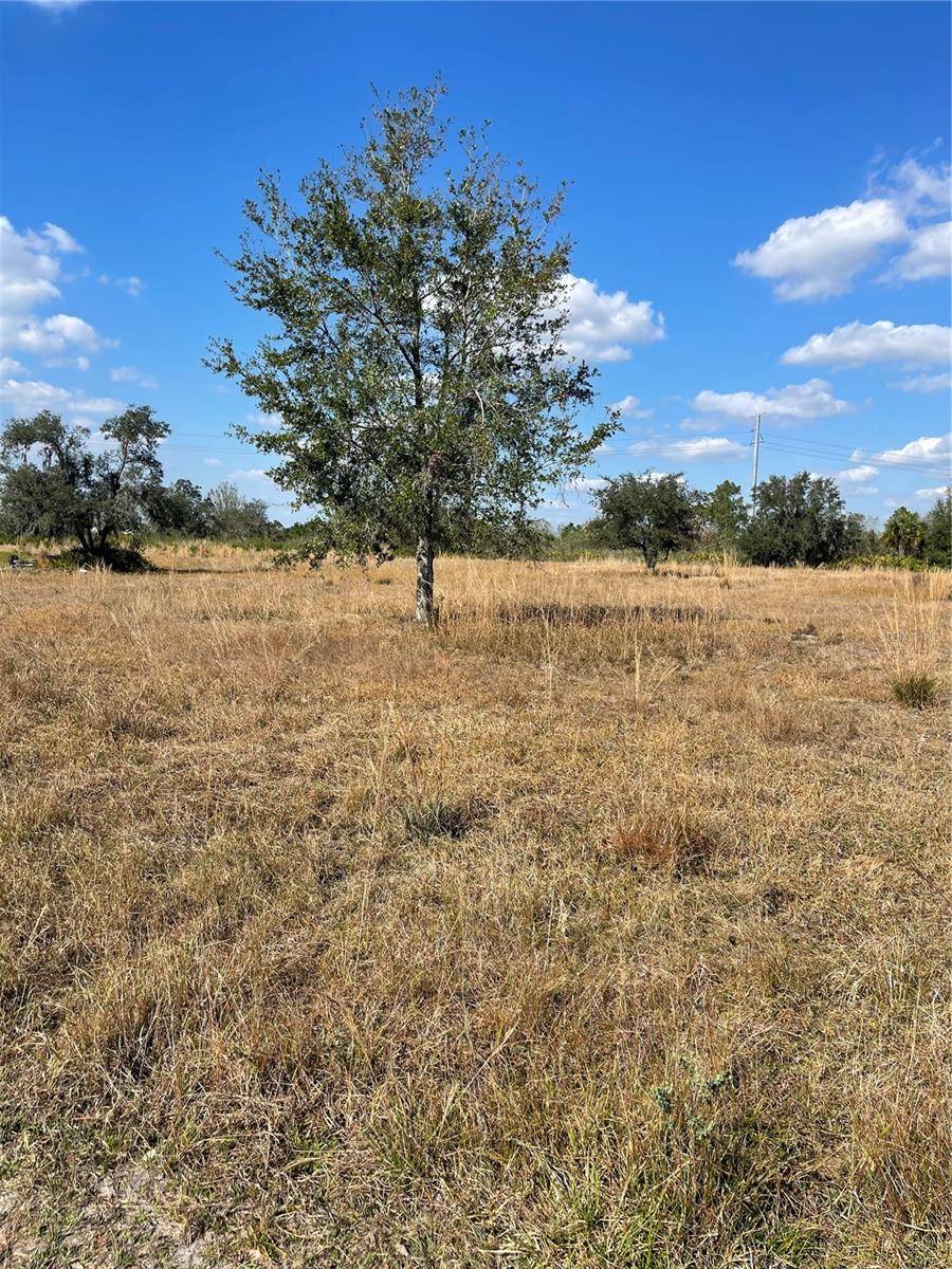 HAMMERMILL AVE, Lake Wales, FL 33859