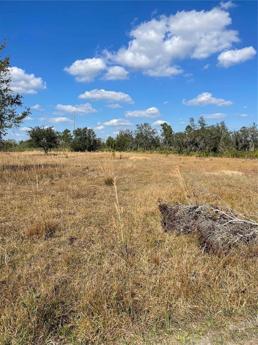 HAMMERMILL AVE, Lake Wales, FL 33859