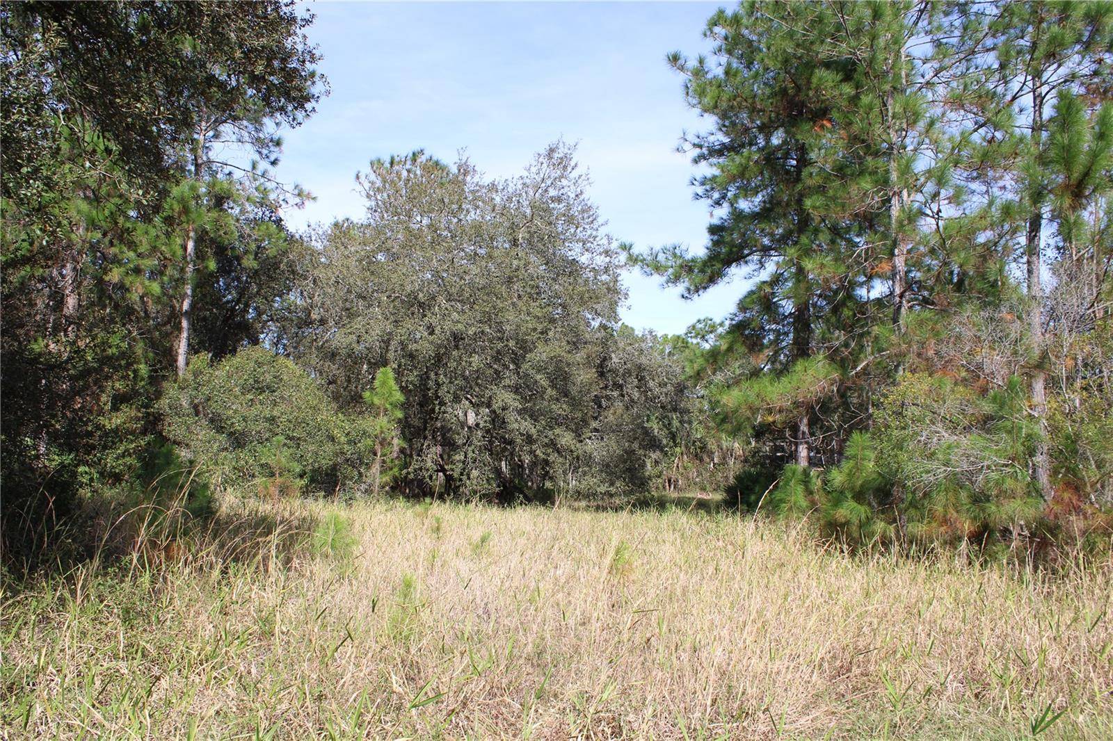 DUBOISE DR, Clermont, FL 34711