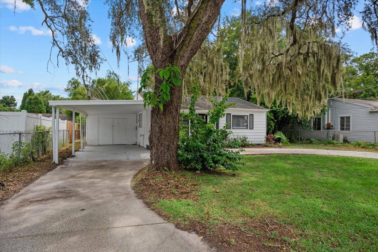 305 E BOUGAINVILLEA AVE, Tampa, FL 33612