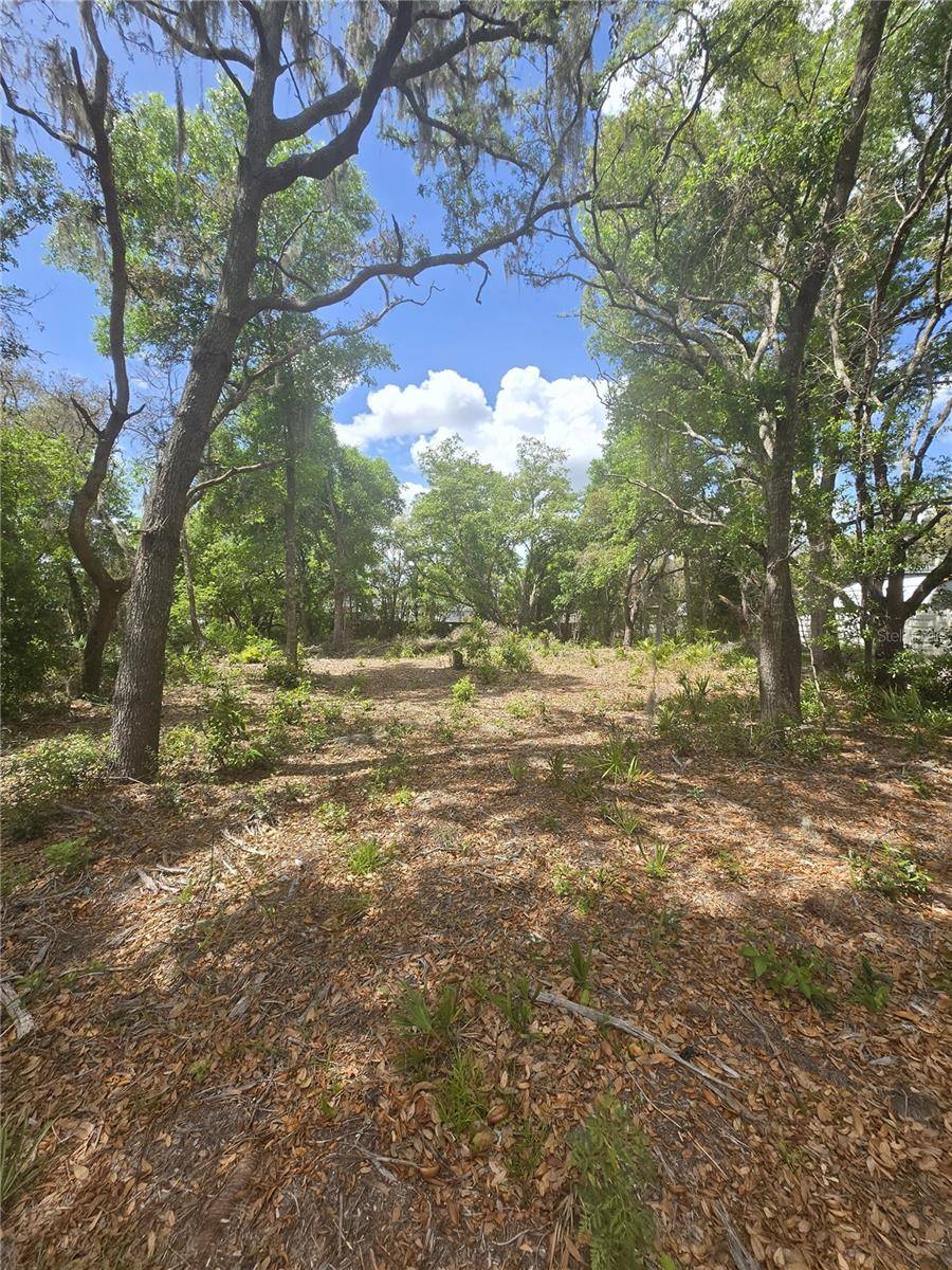 8140 WALT WILLIAMS RD, Lakeland, FL 33809
