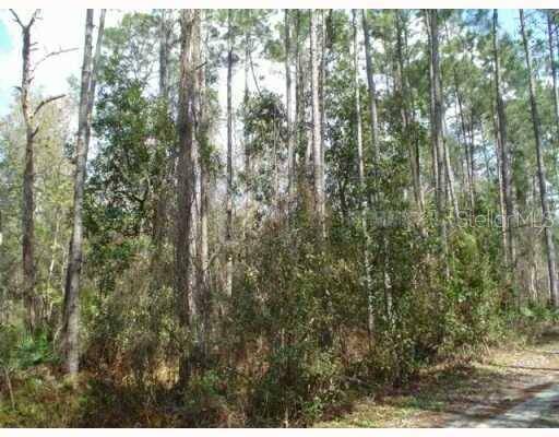 Address not disclosed, Zephyrhills, FL 33544