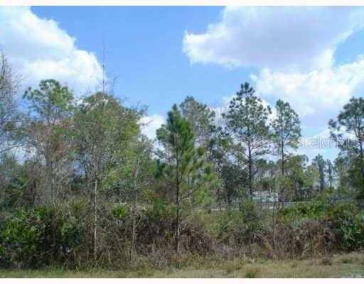 Address not disclosed, Zephyrhills, FL 33544