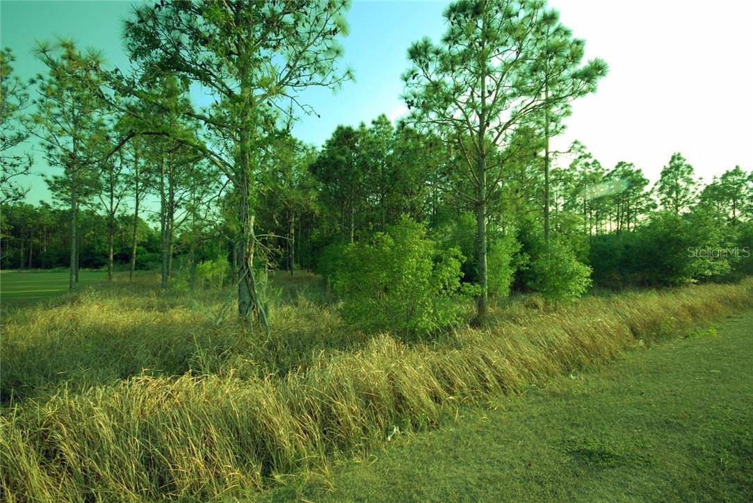 30150 OVERPASS RD, Wesley Chapel, FL 33545