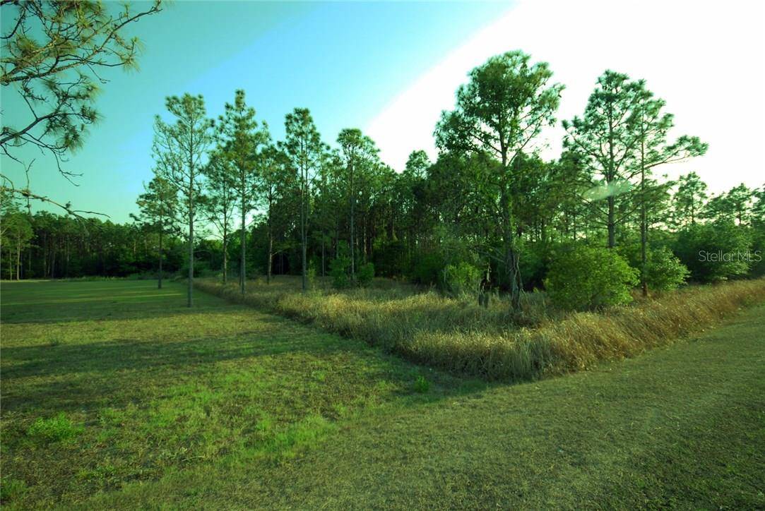 30150 OVERPASS RD, Wesley Chapel, FL 33545