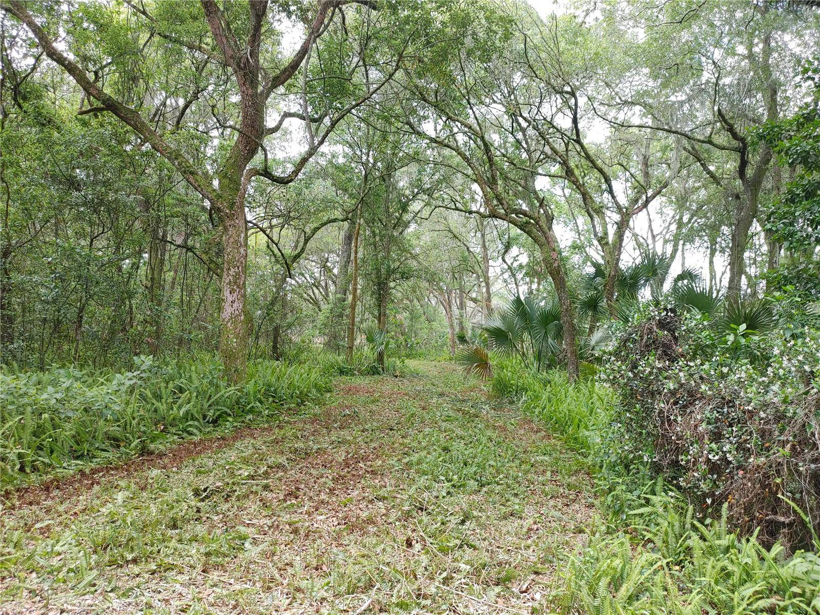7819 E ELM ST, Tampa, FL 33610