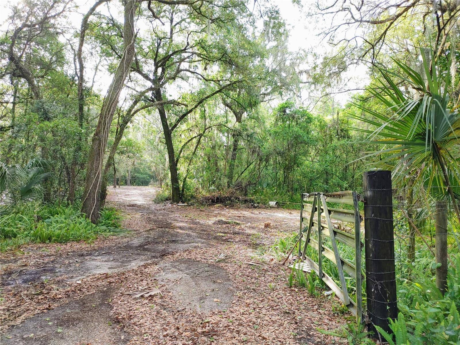 7819 E ELM ST, Tampa, FL 33610