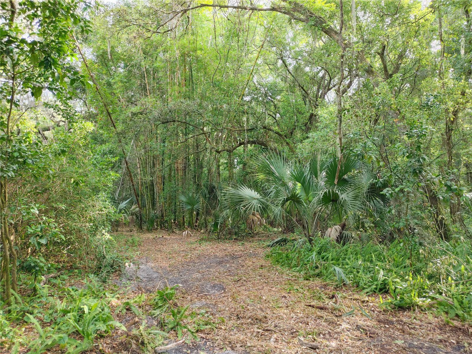 7819 E ELM ST, Tampa, FL 33610