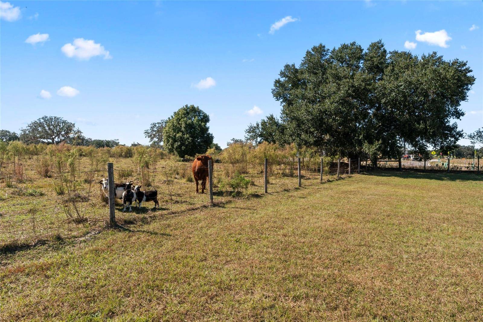 0 COUNTY ROAD 52, San Antonio, FL 33576