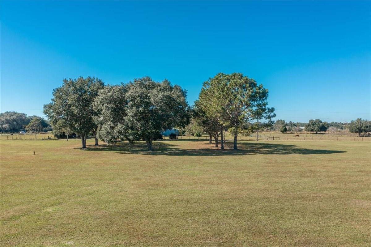 31935 COUNTY ROAD 52, San Antonio, FL 33576