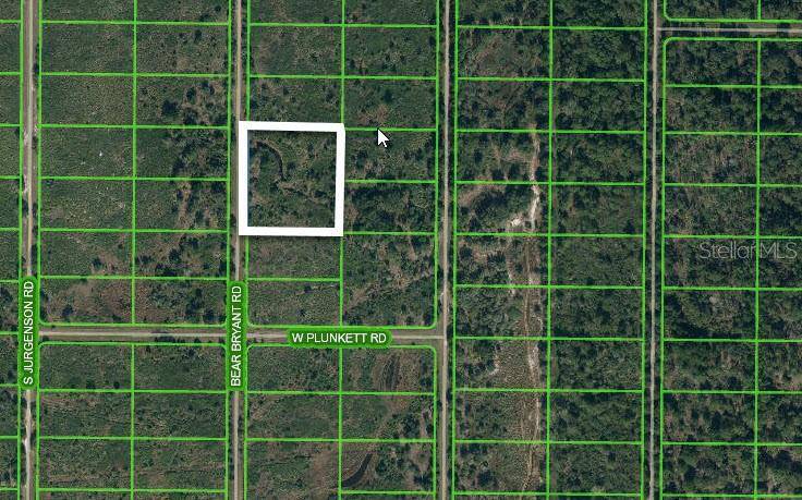 1859 BEAR BRYANT RD, Avon Park, FL 33825