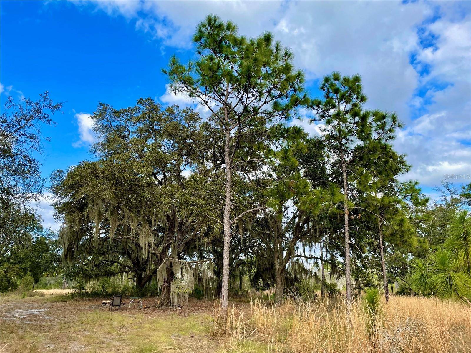 19858 STATE ROAD 52, Land O Lakes, FL 34637