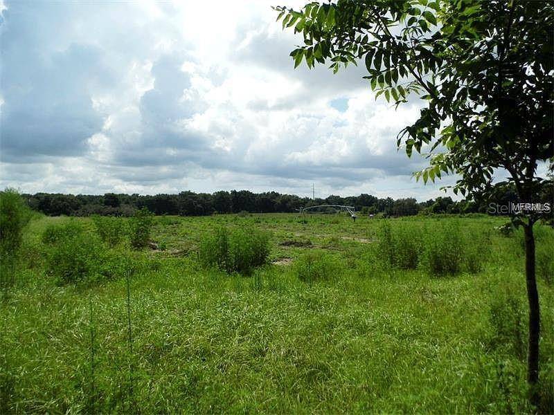 10201 TIMMONS RD, Thonotosassa, FL 33592