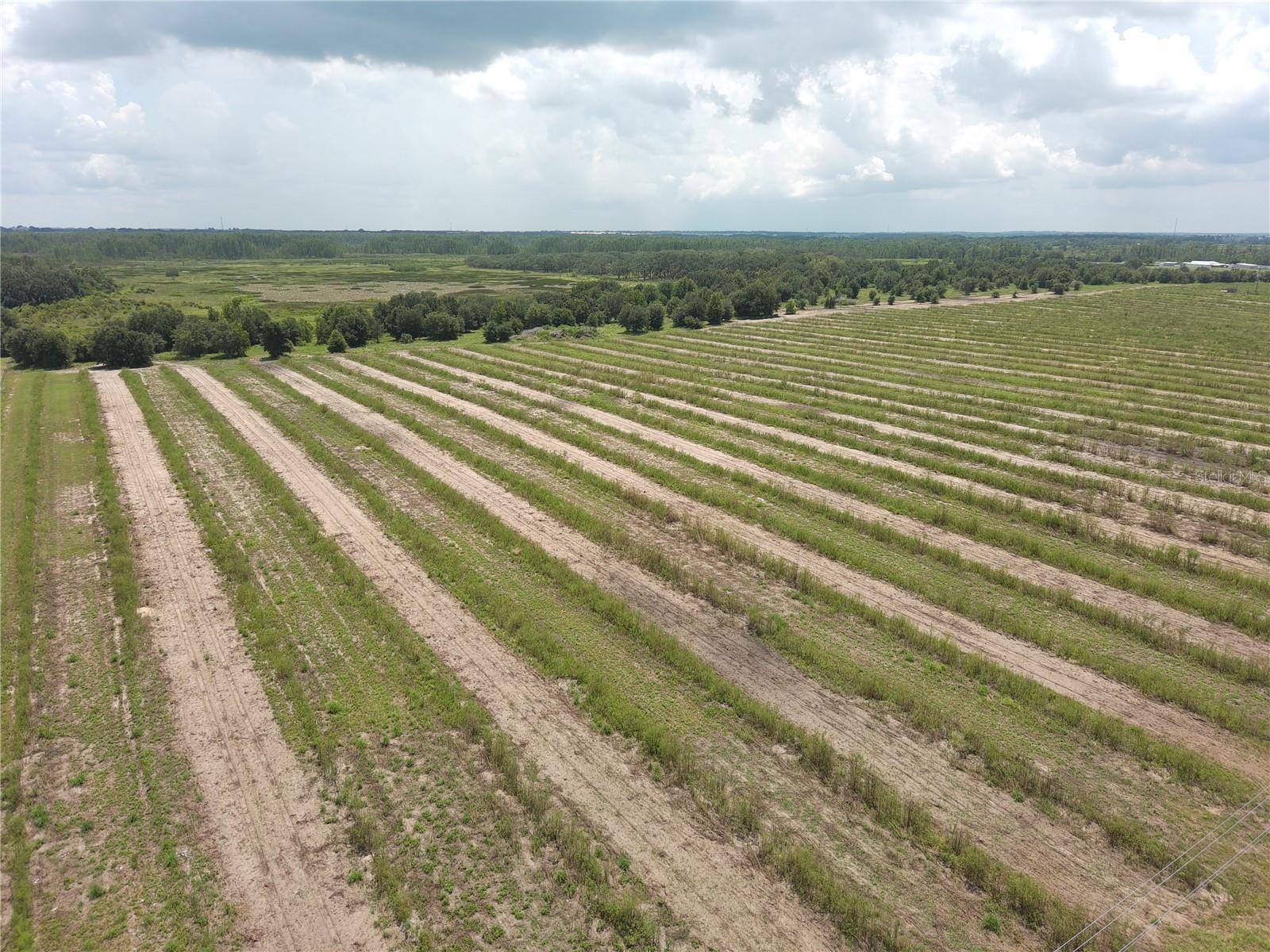 000 KUDER RANCH RD, Haines City, FL 33844
