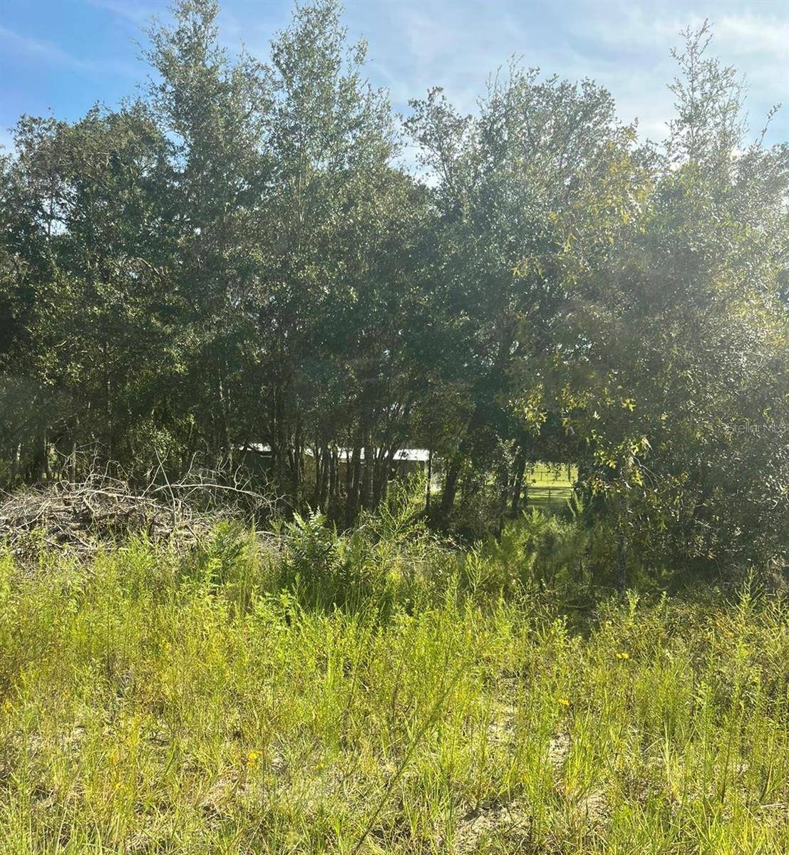 23-12-17 OAK RIDGE ESTATES BLK 8 LOT 27, Williston, FL 32696