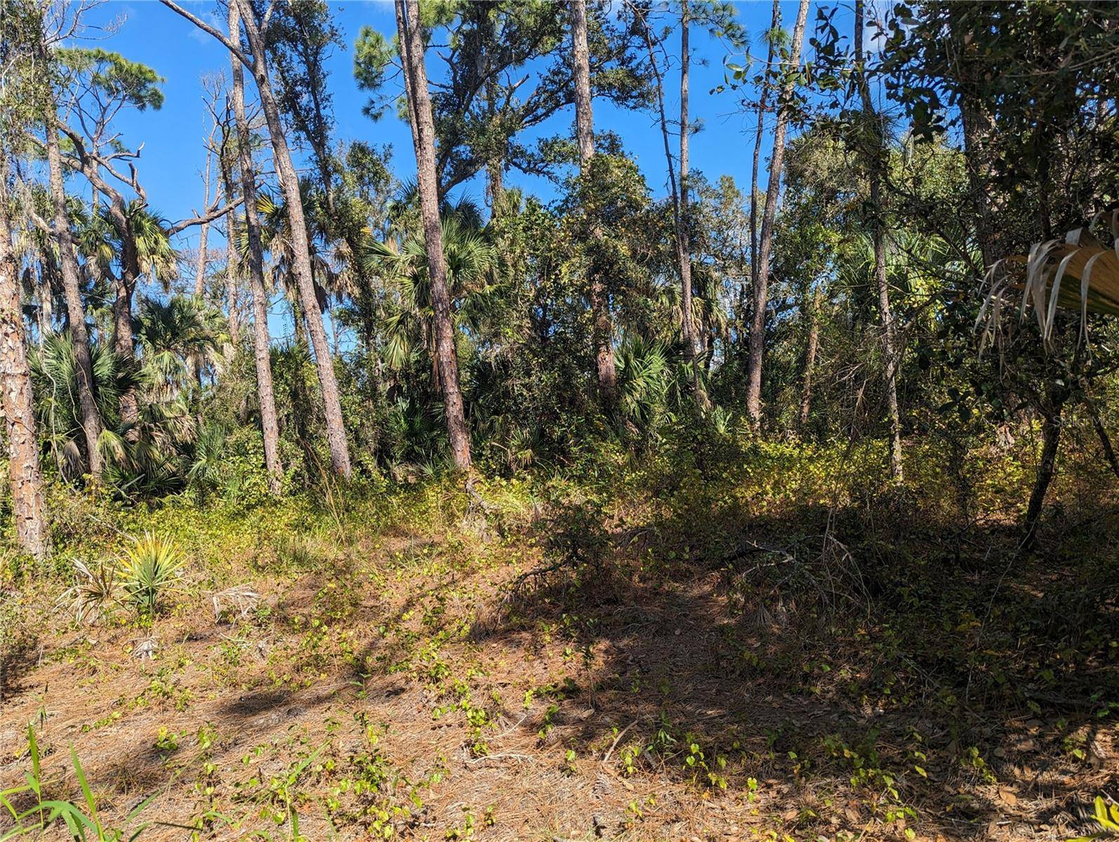 0 APRICOLA RD #Lot 14, North Port, FL 34286