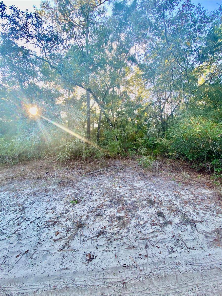 3986 S PELICAN AVE, Inverness, FL 34450