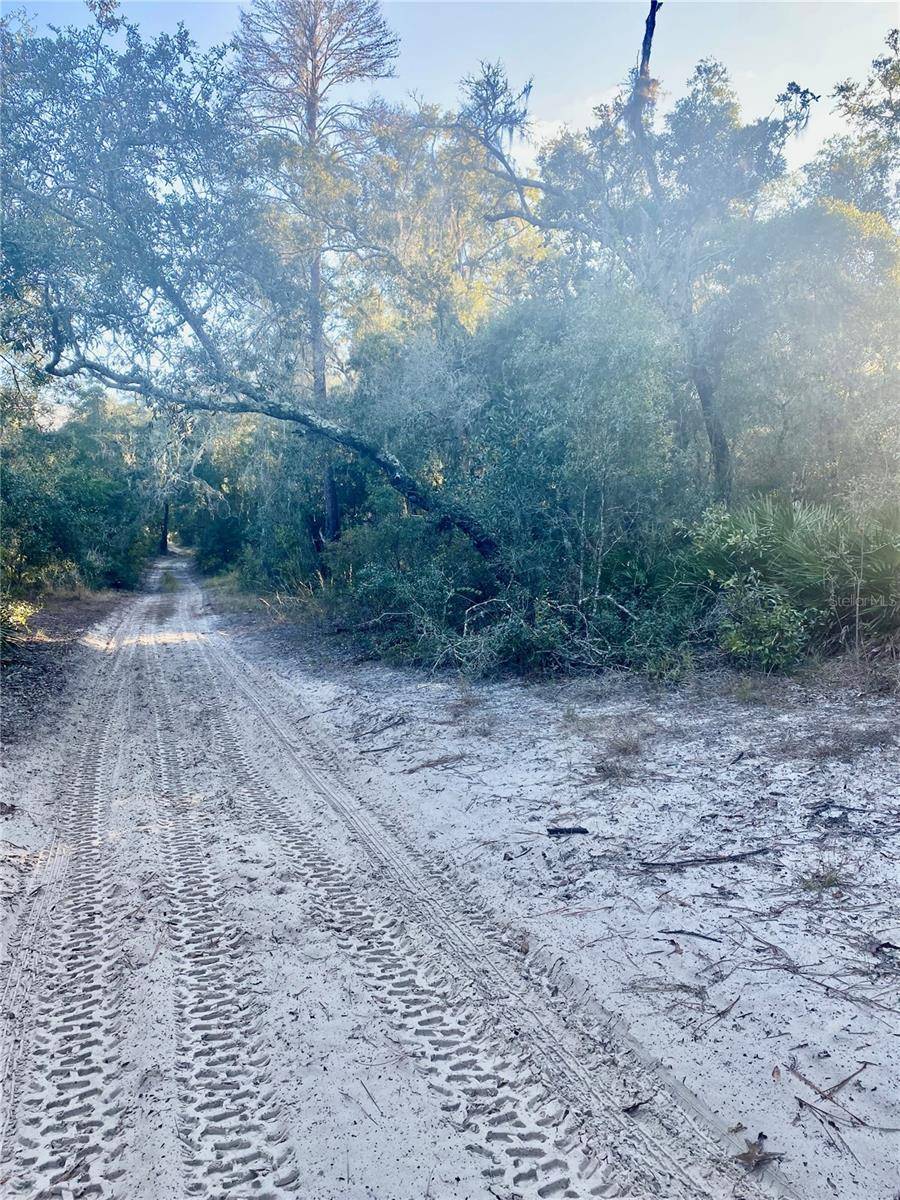 3986 S PELICAN AVE, Inverness, FL 34450