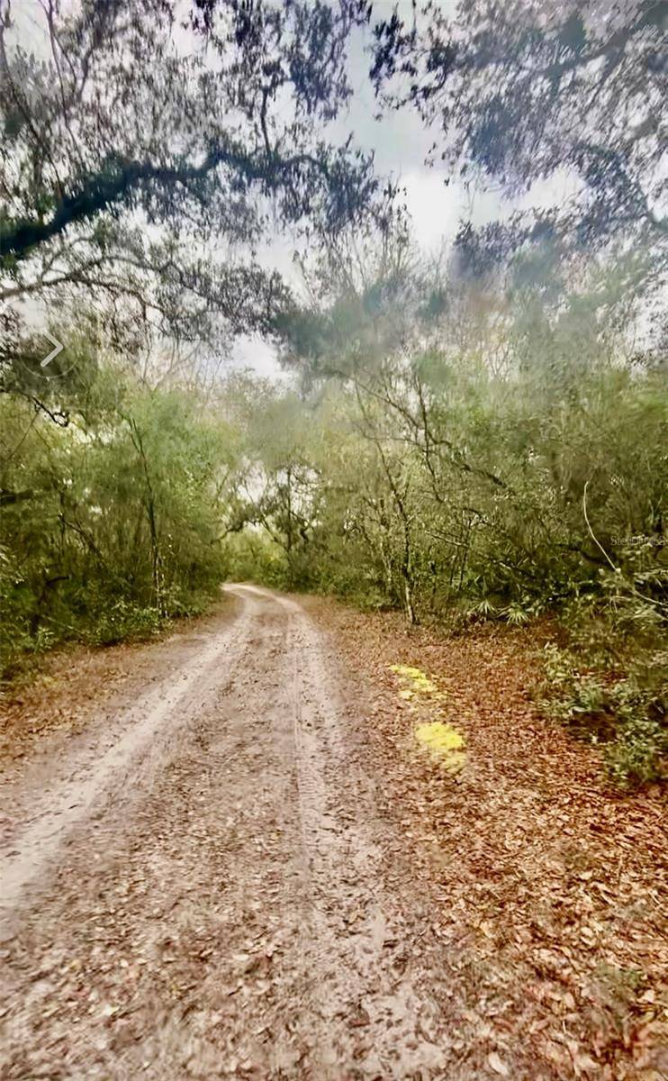 3986 S PELICAN AVE, Inverness, FL 34450