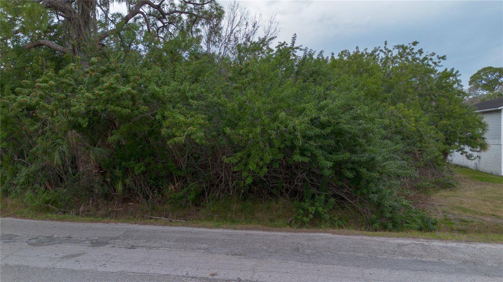6317 OELSNER ST, New Port Richey, FL 34652