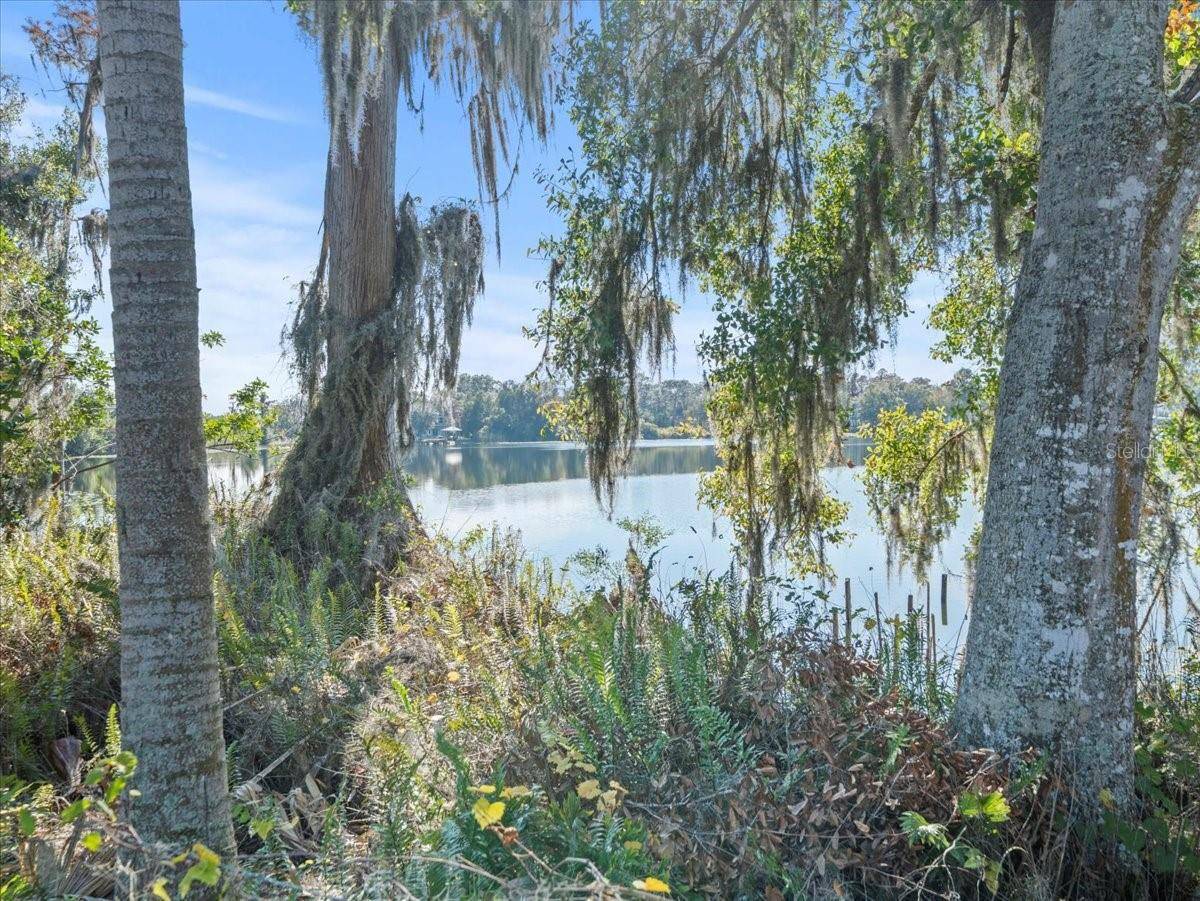 BOY SCOUT RD, Odessa, FL 33556