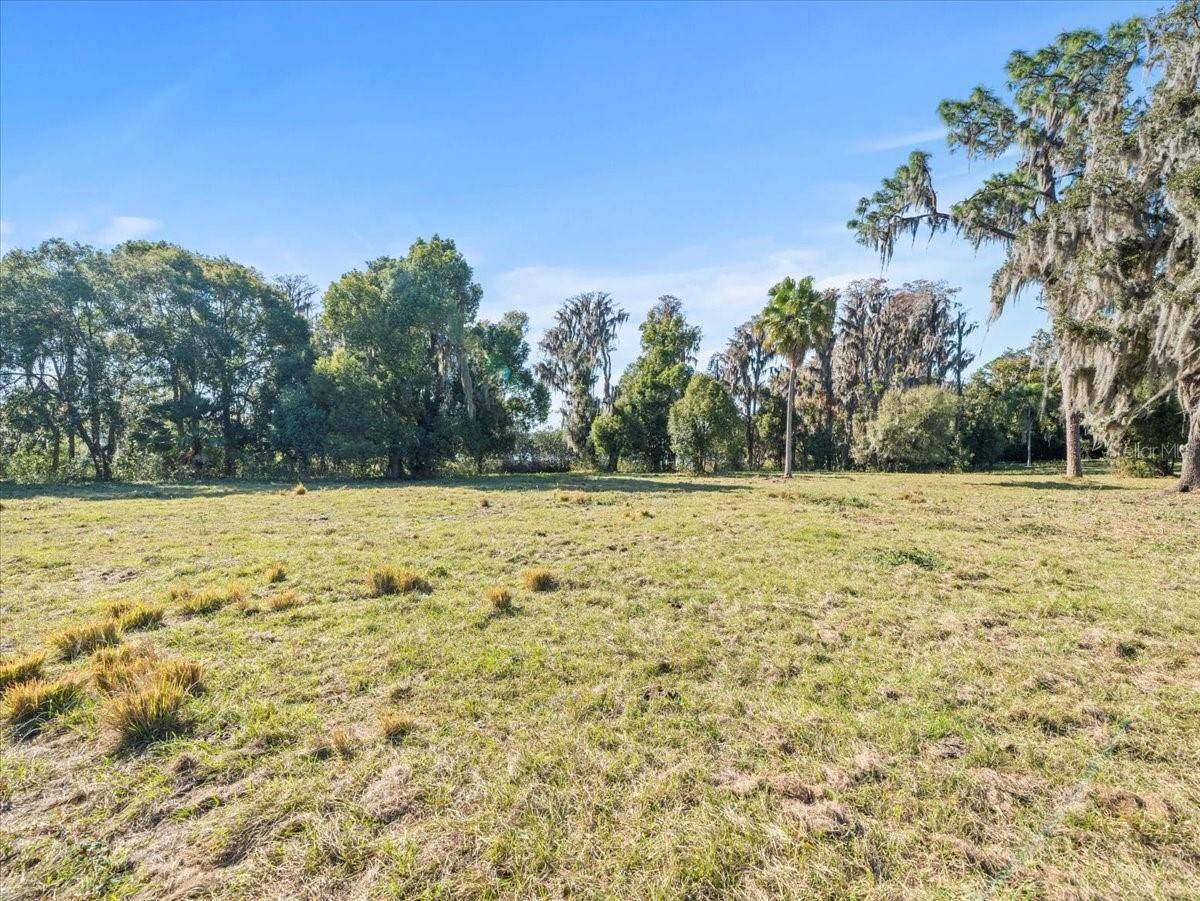 BOY SCOUT RD, Odessa, FL 33556