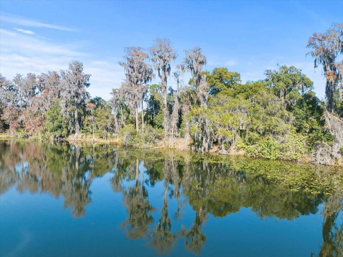 BOY SCOUT RD, Odessa, FL 33556