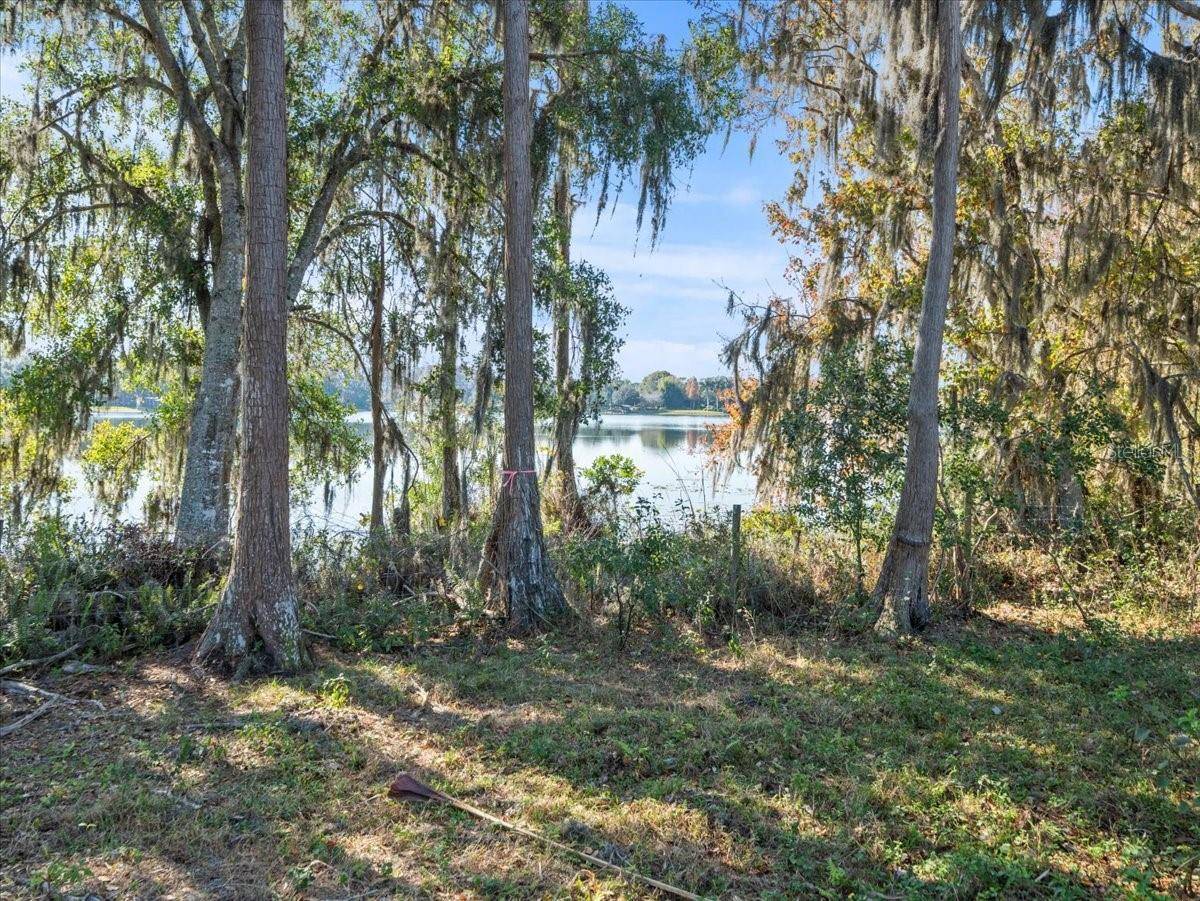 BOY SCOUT RD, Odessa, FL 33556