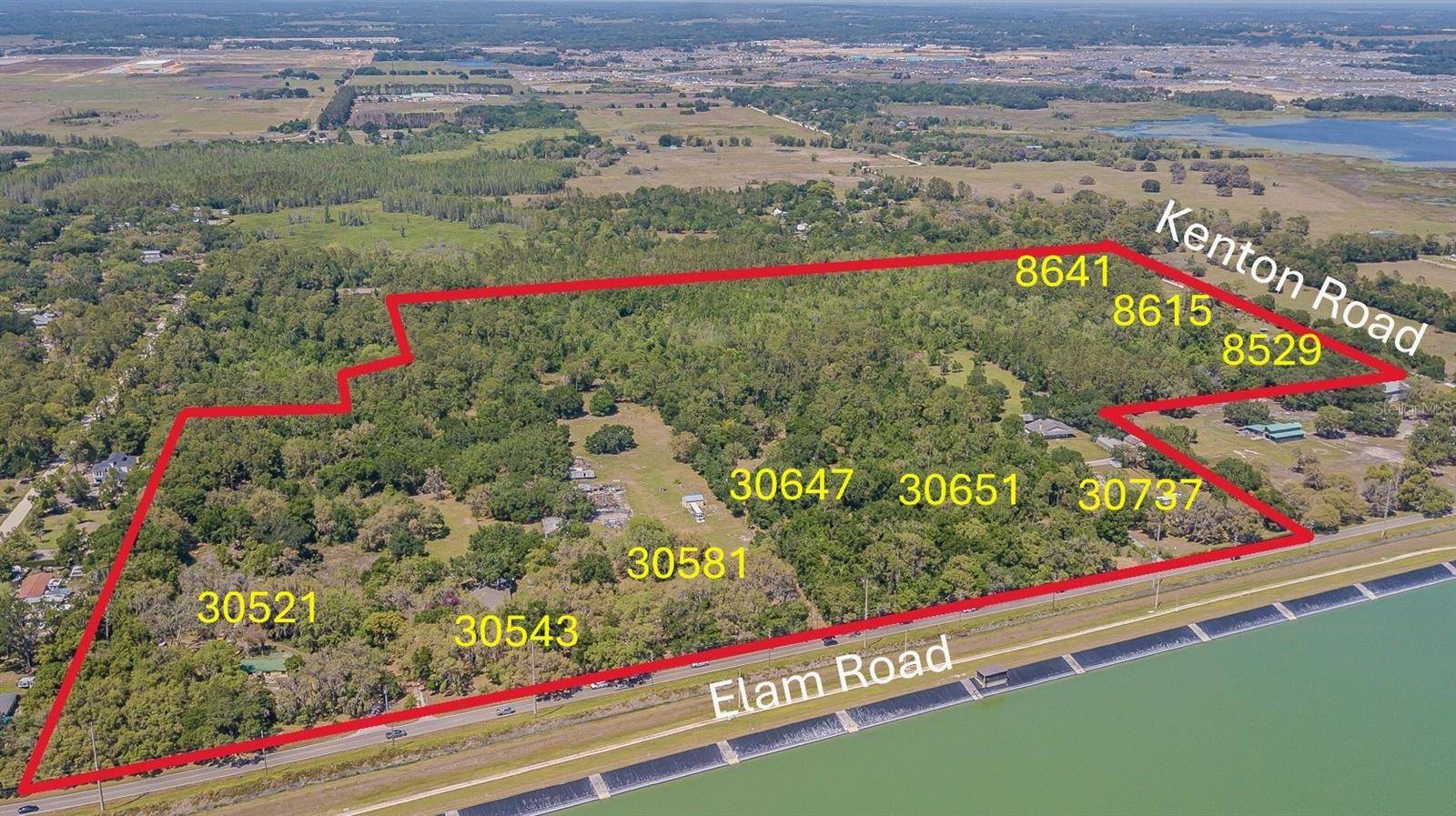 30651 ELAM RD, Wesley Chapel, FL 33545