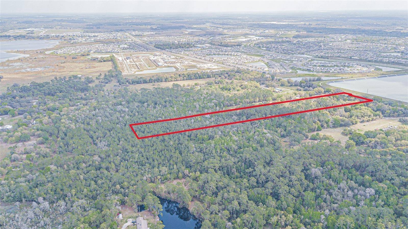 30651 ELAM RD, Wesley Chapel, FL 33545