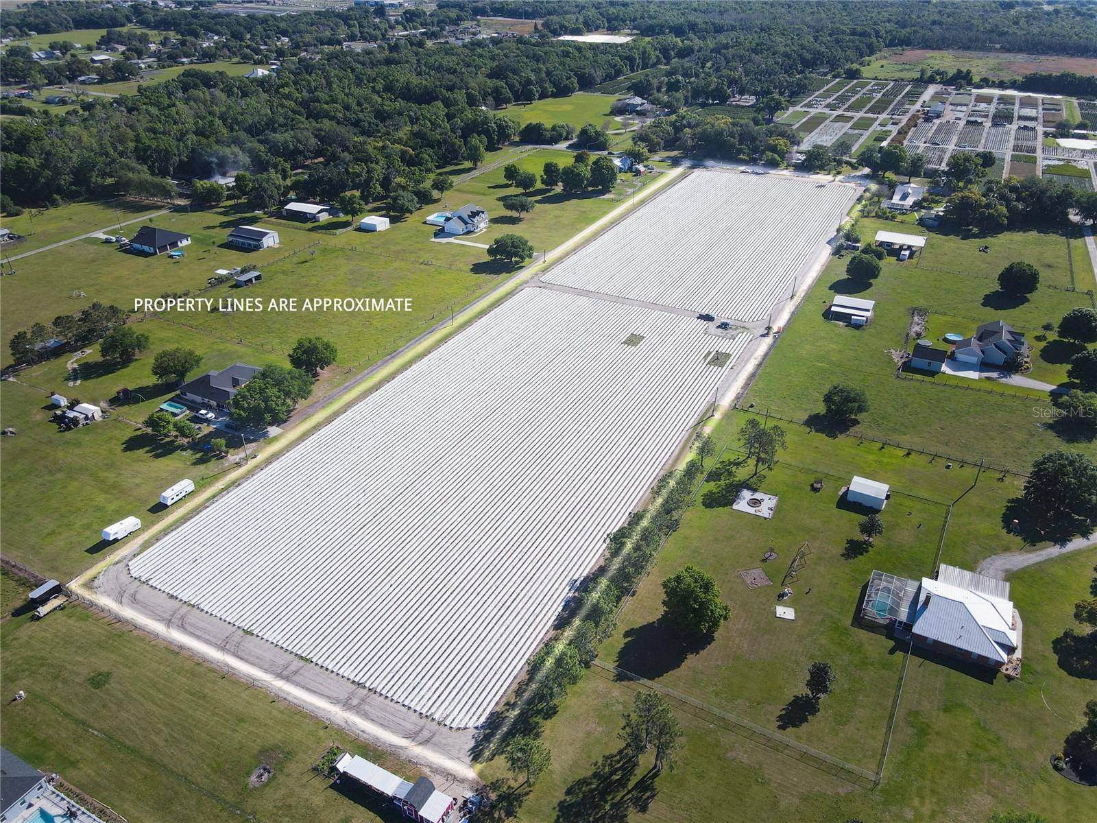 3811 OLD MULBERRY RD, Plant City, FL 33567