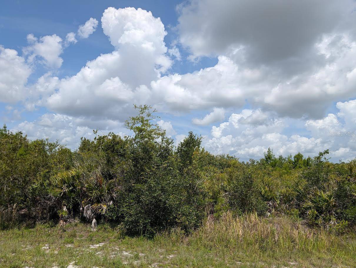 ST PETERSBURG DR, Indian Lake Estates, FL 33855