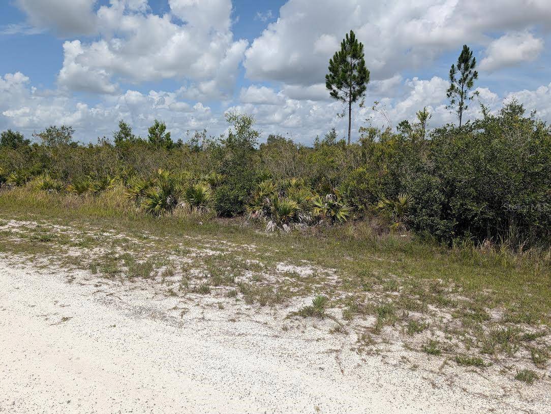 ST PETERSBURG DR, Indian Lake Estates, FL 33855