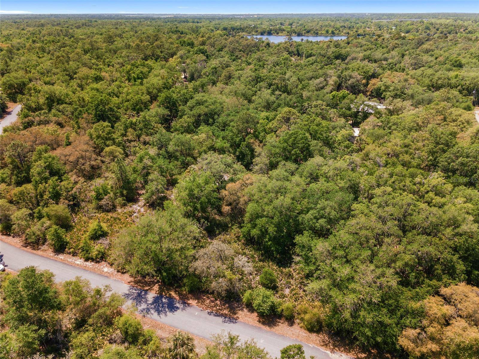 12577 W ROSEMARY PL, Crystal River, FL 34428
