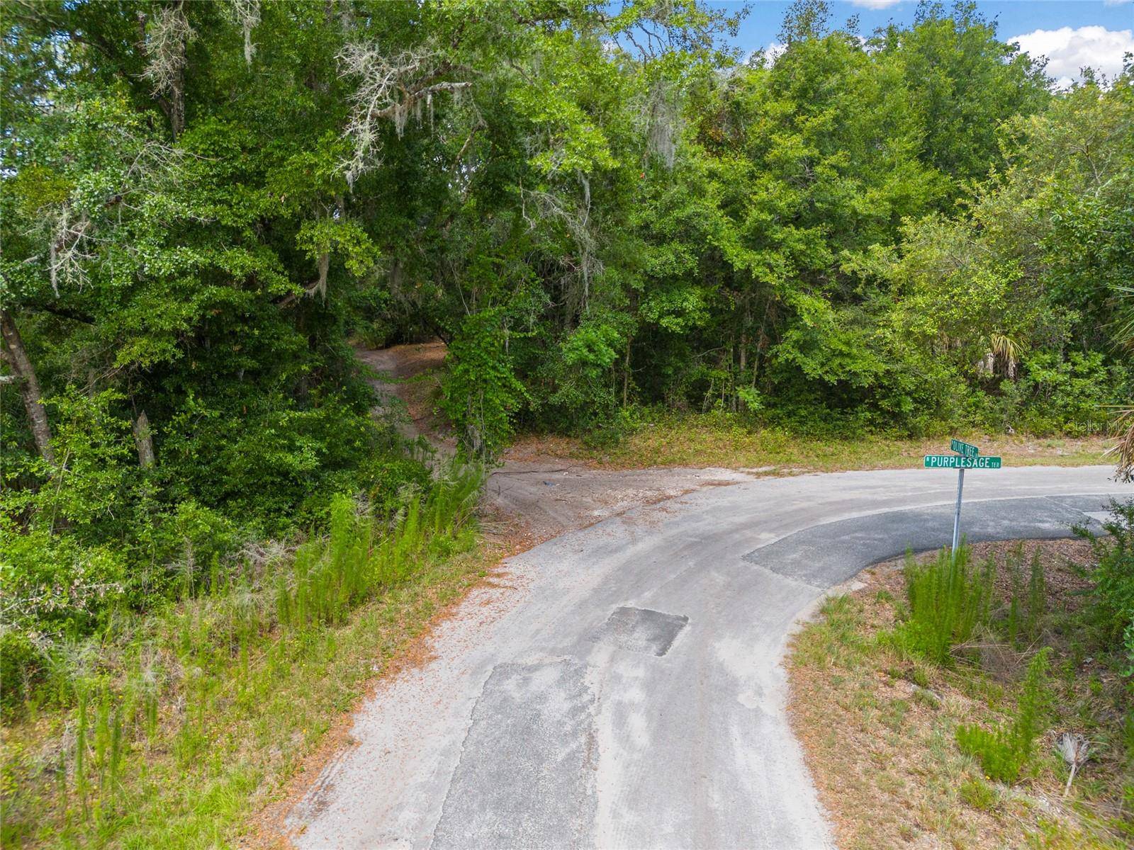 12180 W OLIVE TREE LN, Crystal River, FL 34428