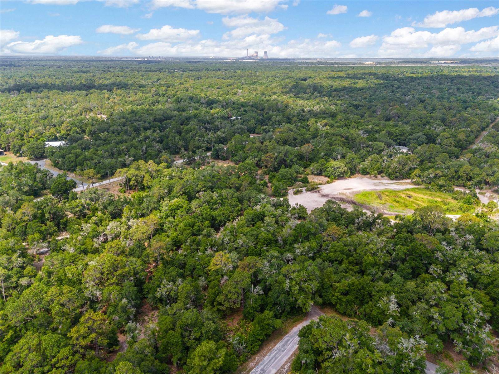 12180 W OLIVE TREE LN, Crystal River, FL 34428