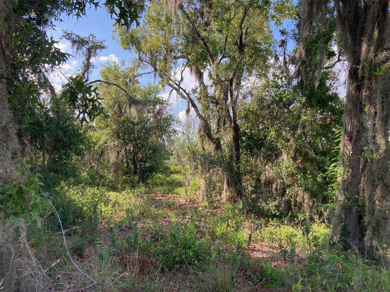 0 3RD AVE, Babson Park, FL 33827