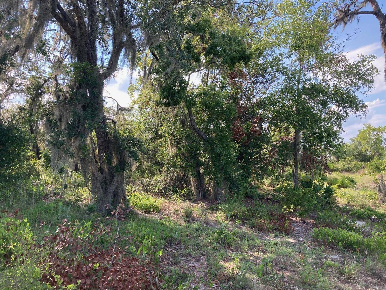 0 3RD AVE, Babson Park, FL 33827