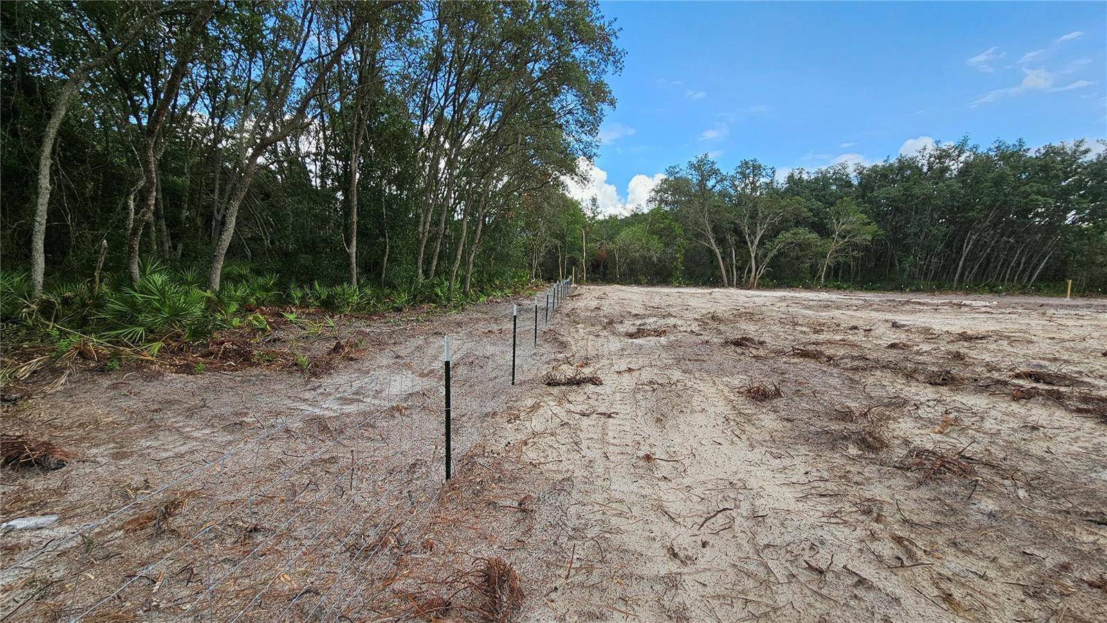 35391 OVERCUP DR, Webster, FL 33597