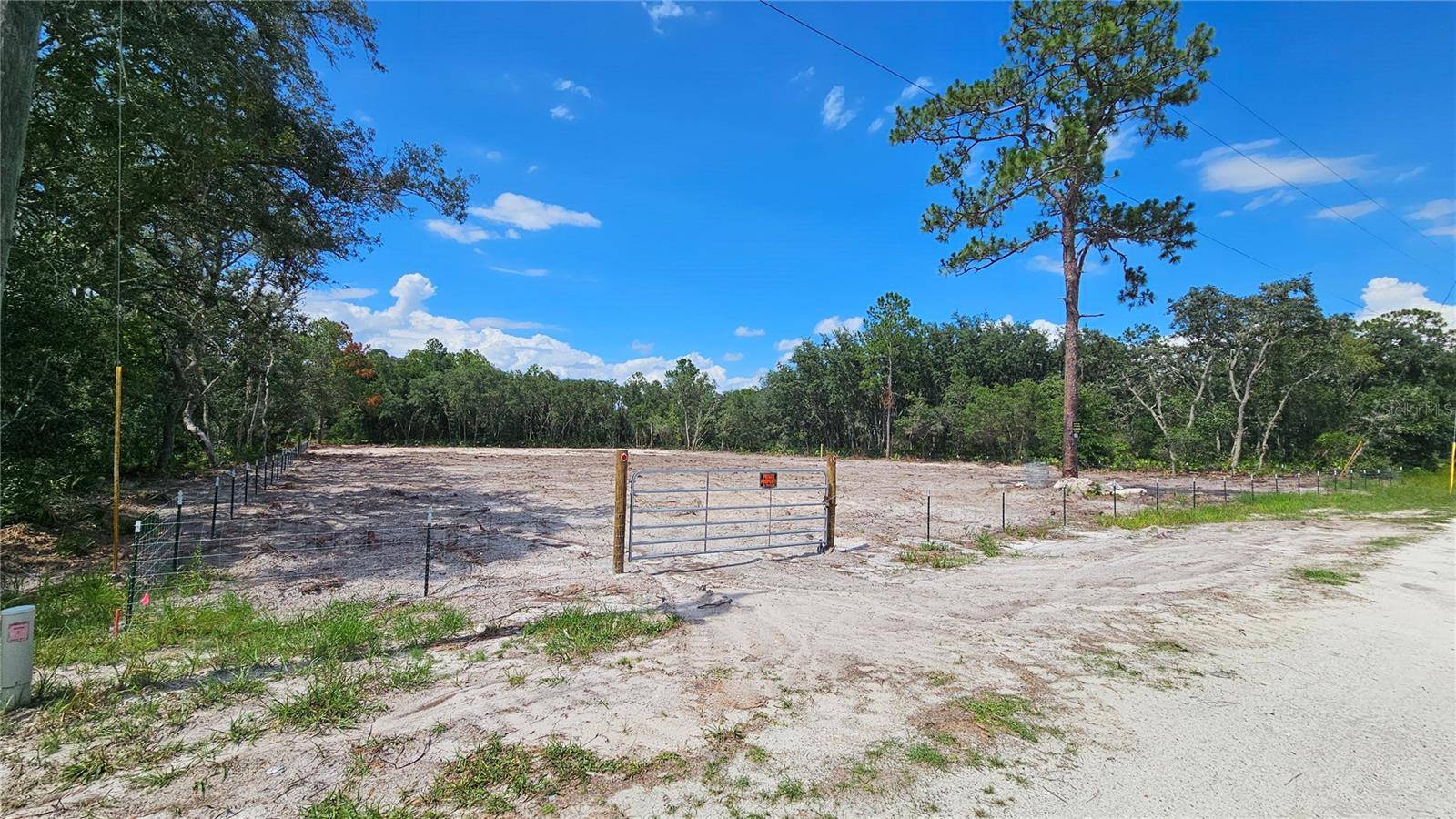 35391 OVERCUP DR, Webster, FL 33597